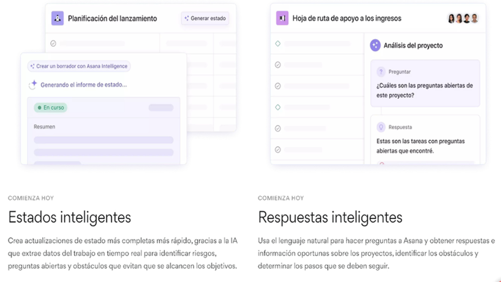 asana 1