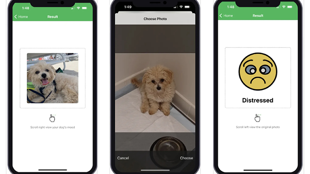 Pet Mood Detector AI 1