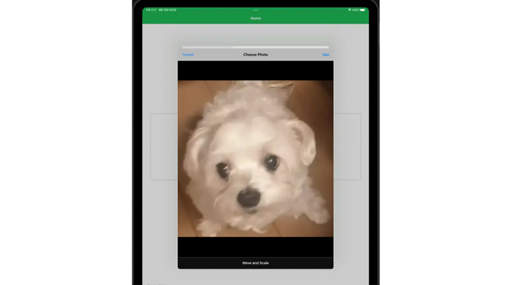 Pet Mood Detector AI 2