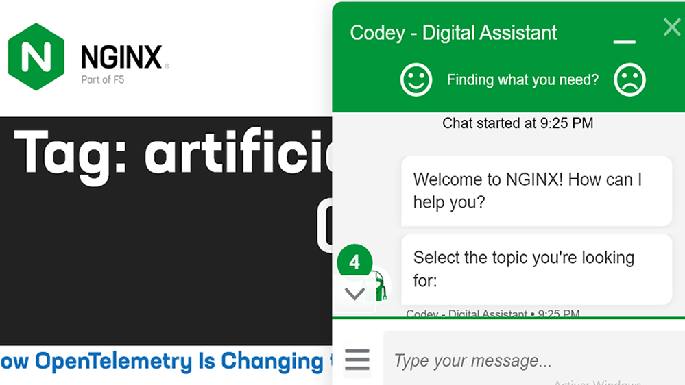 nginx AI 2